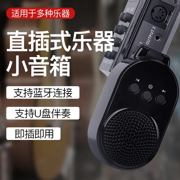 电吹管直插式小音箱扩音器电吹管专用音箱蓝牙伴奏U盘便携式音响