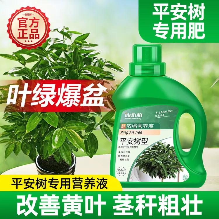平安树专用肥料营养液盆栽室内绿植养花卉通用型氮磷钾复合肥生长