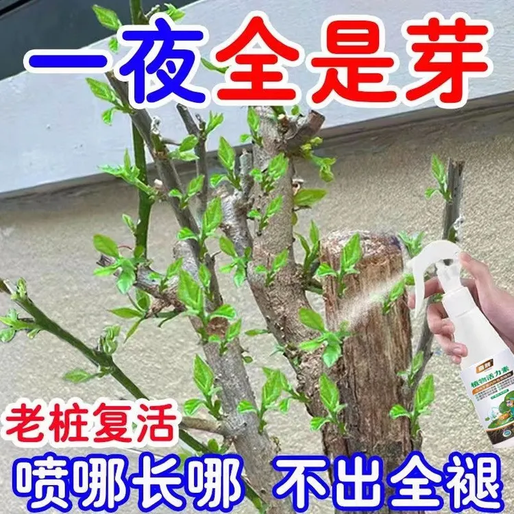 猛抽芽】老桩催芽剂促芽僵苗快速发新芽防黄叶促花营养通用复活肥