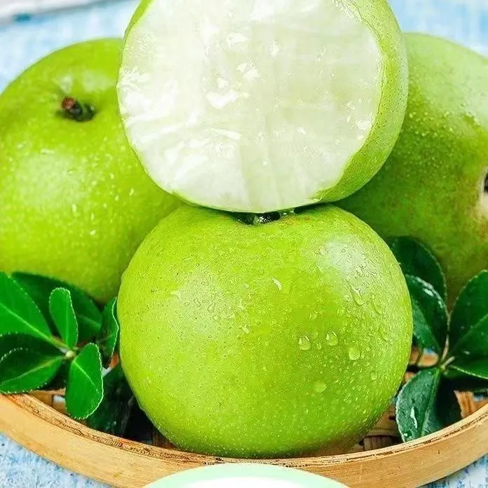 安徽砀山青皮皇冠梨