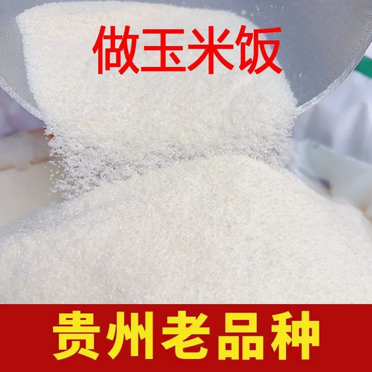 贵州包谷面玉米面农家现磨玉米粉做白包谷饭当季玉米糁支持试吃