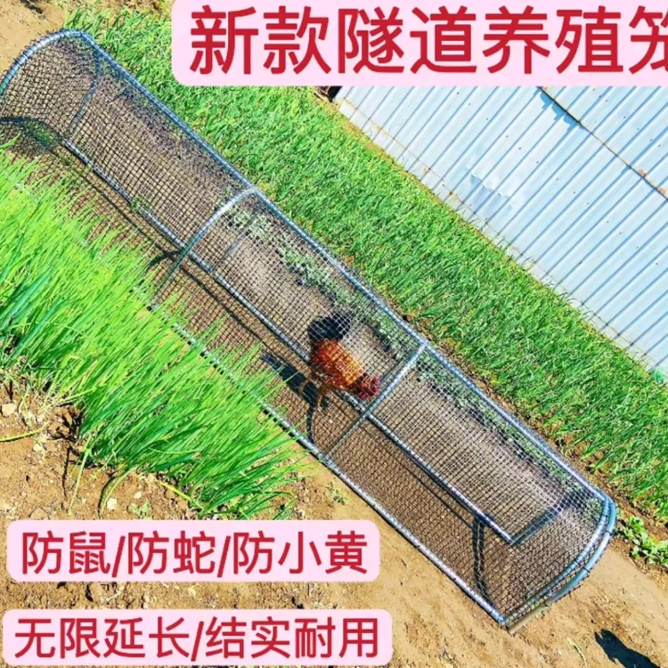 溜达鸡笼子走地鸡笼兔笼养鸡隧道养殖棚围栏鸡笼防锈户外养鸡跑道