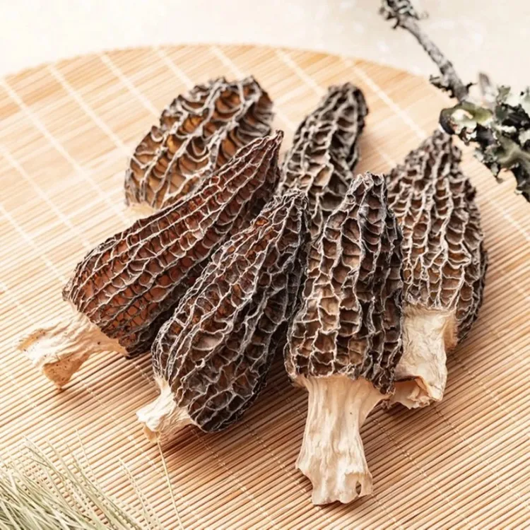 【村干部助农】云南土特产【羊肚菌】