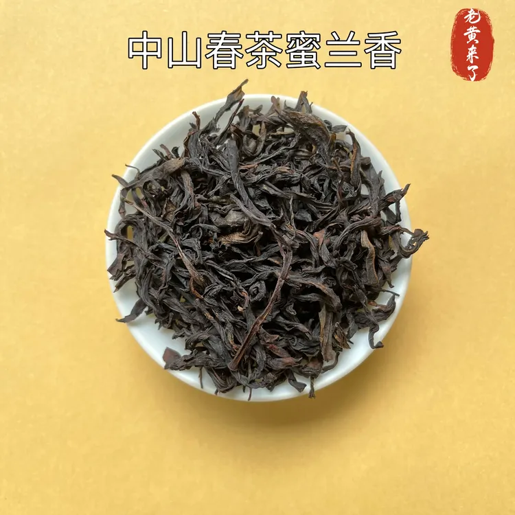 老黄来了●凤凰单丛蜜兰香中山口粮茶