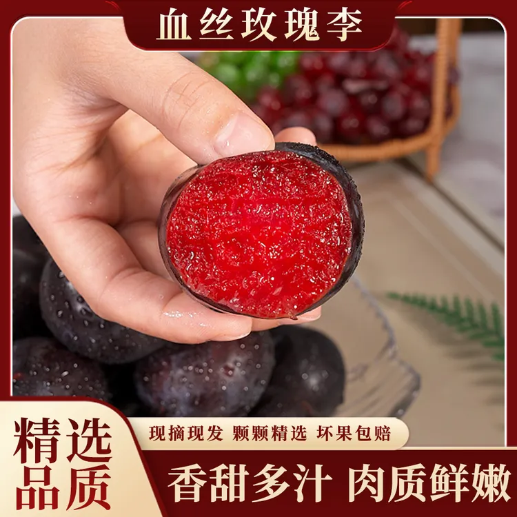 新鲜血丝玫瑰李时令水果香甜软糯新鲜果园现摘现发风味玫瑰李5斤