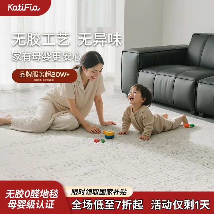 卡提菲亚丹麦雪境地毯客厅轻奢高级免洗可擦无胶防水抗污免打理