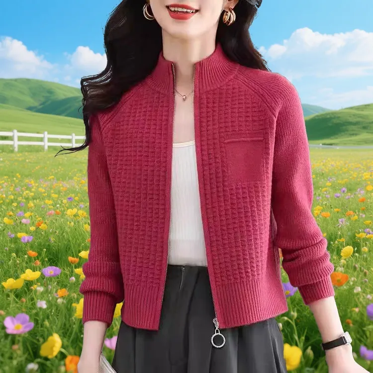 100%纯羊毛羊毛衫针织女秋冬2025新款小个子立领拉链宽松毛衣外套