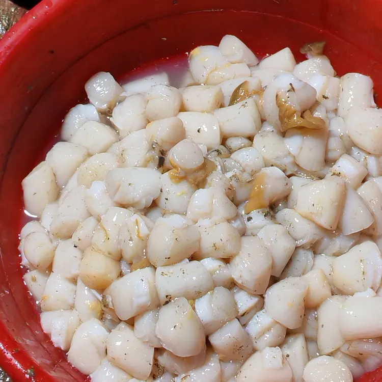 现剥扇贝柱  纯原浆 顺丰包邮（1斤70到80粒）