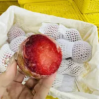 新疆恐龙蛋4斤装