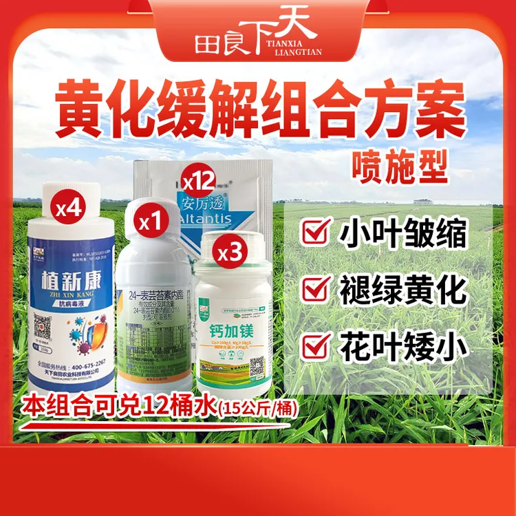 黄化缓解组合方案  喷施型  小叶皱缩、褪绿黄化、花叶矮小