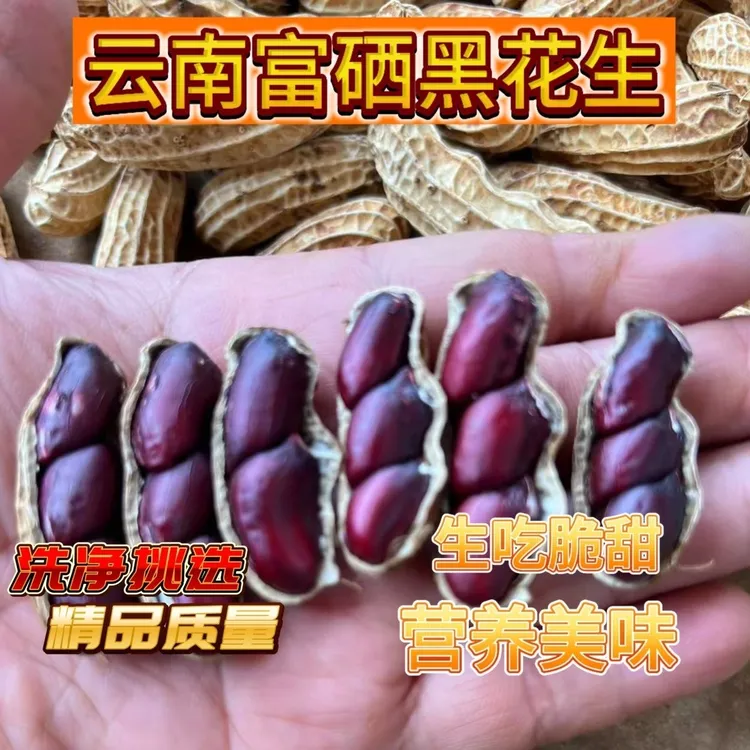 云南正宗富硒生黑花生营养健康新鲜带壳自然晒干