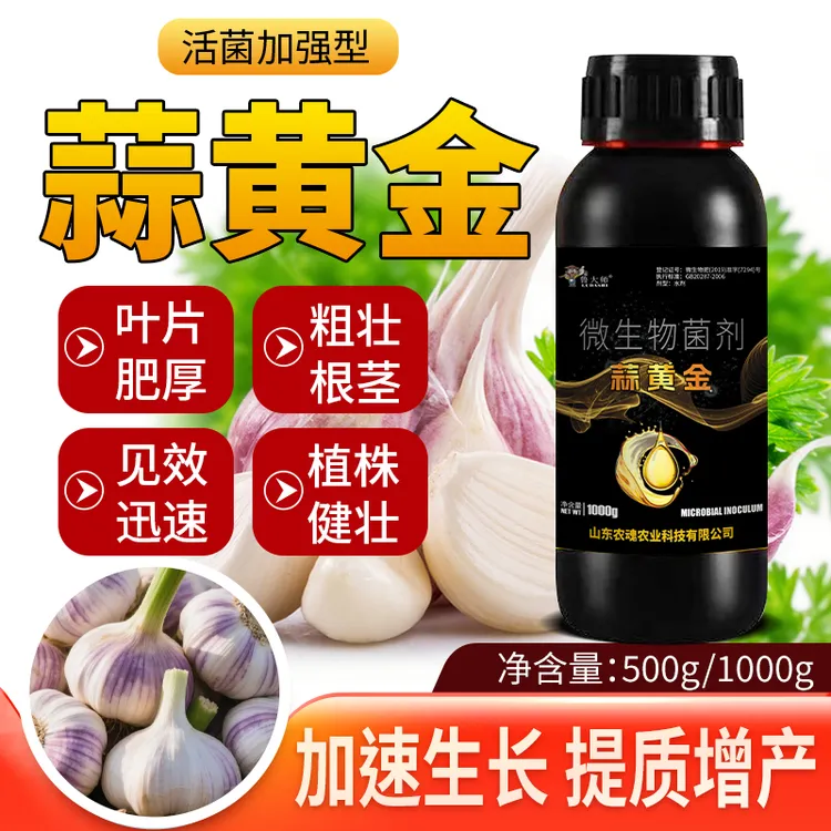 正品蒜黄金蒜菌清原液胖大蒜生姜种植专用生根养根补营养水溶肥料