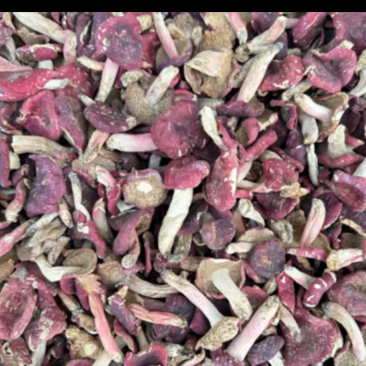 农村自产自销干菌