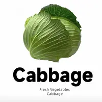 Cabbage大本营（学习/20天早晚）