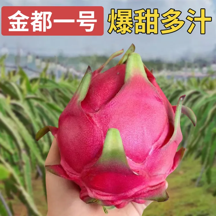 蜜宝金都一号红心火龙果新鲜蜜孕妇宝红肉当季水果红龙果大果