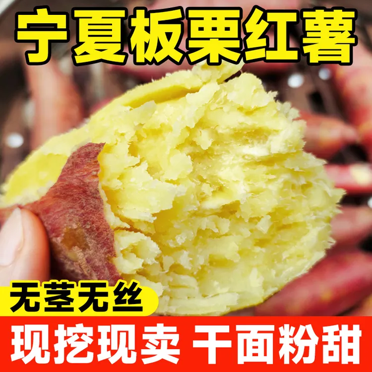 宁夏沙地板栗红薯粉糯甘甜现挖5斤烤地瓜红薯蜜薯农家种植干面