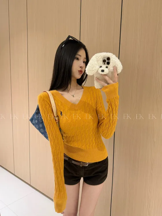 刺绣V领针织衫女秋冬新上修身显瘦套头毛衣高级感上衣355