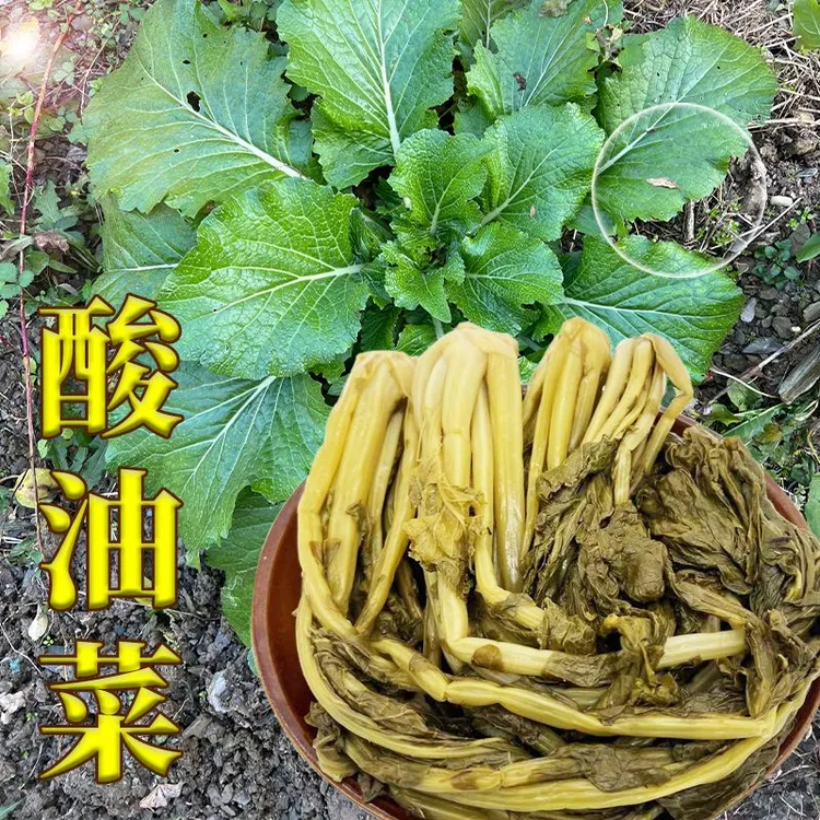 【高川味道推荐】农家下饭泡菜高山野油菜酸菜新鲜美味散装浆水菜