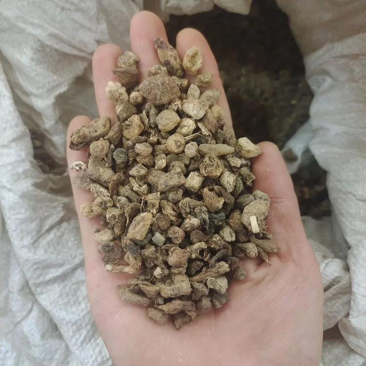 农家特产 甄选优质山慈菇