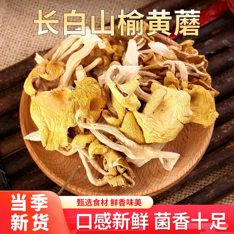 【东北特产】长白山榆黄蘑 特产干货 菌香浓郁 营养美味 鲜嫩多汁
