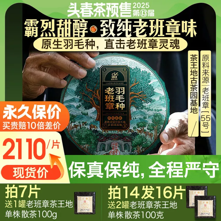 【2025年春茶现货】50个名额《老班章羽毛种》古树普洱生茶饼茶357g