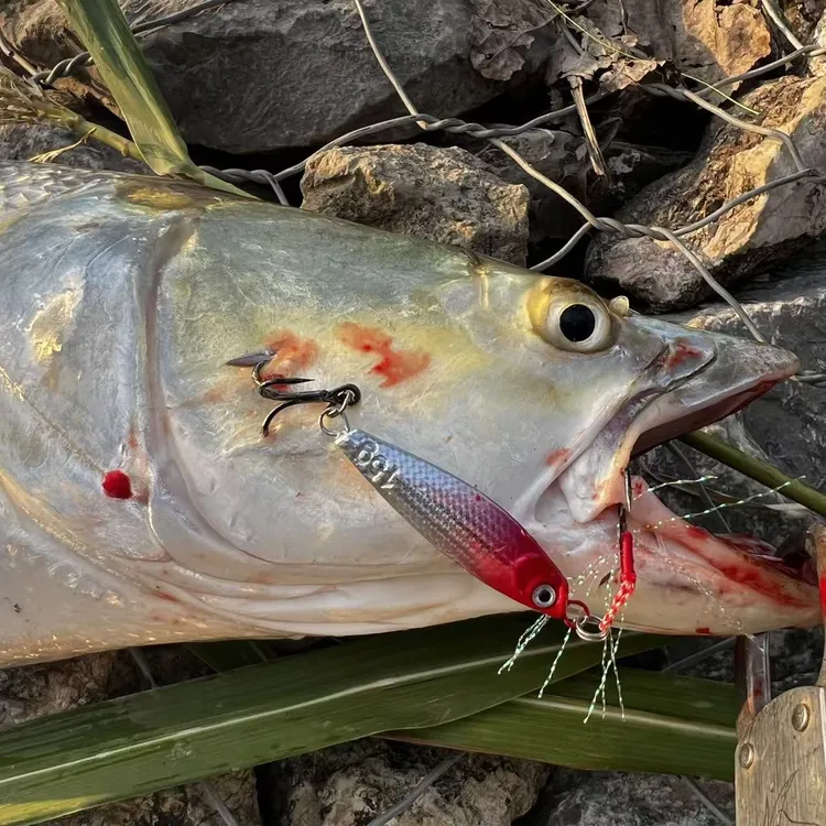 【组合装飘落铁板】路亚饵双钩远投飘落淡水鲈鱼翘嘴假饵满19包邮