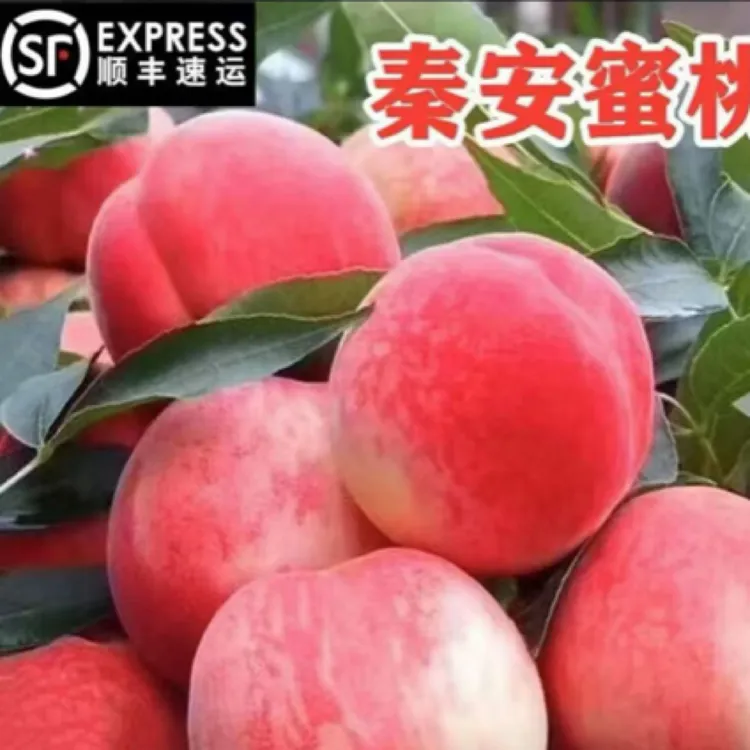 【顺丰航空省外包邮】正宗甘肃秦安蜜桃北京七号果园直发脆甜多汁