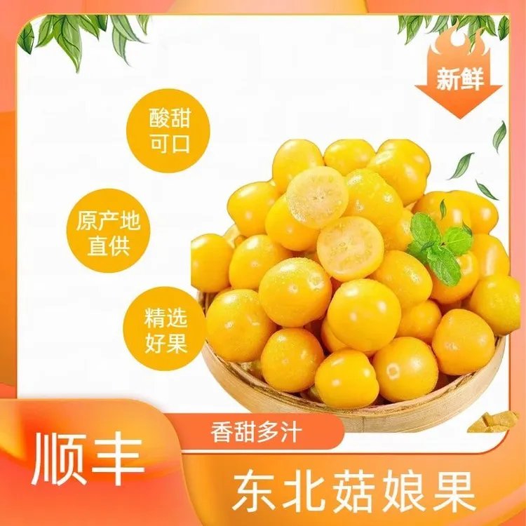 黑土寒地小菇娘（小金豆，新鲜多汁，皮薄肉厚）