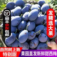 【顺丰京东包邮】大西梅新鲜女神蓝蜜脆甜孕妇水果当季整箱
