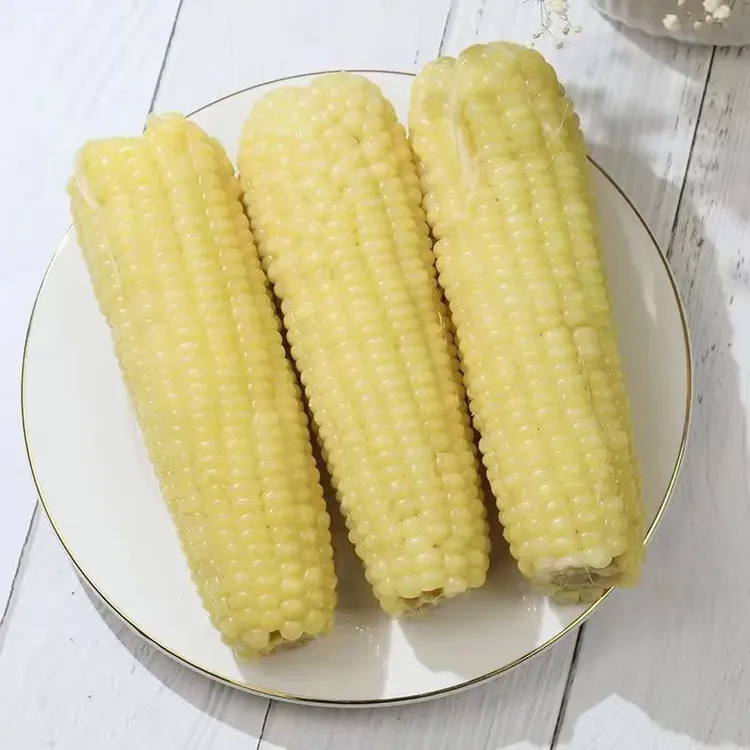 2025年头茬东北新甜糯白玉米8根真空包装《支持试吃一根》