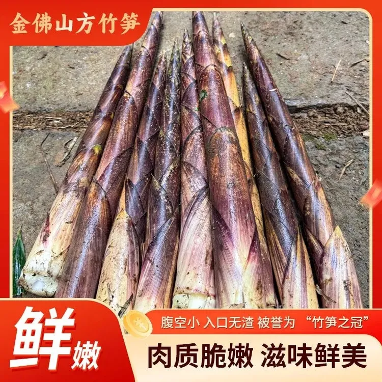 方竹笋新鲜带壳方竹笋嫩笋尖毛壳笋雷竹笋火锅食材水煮炒食佳品