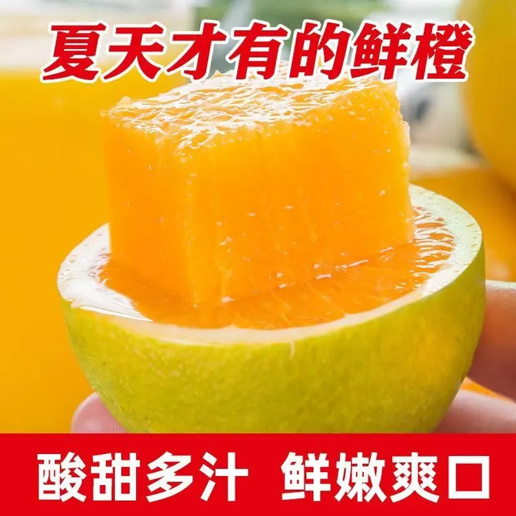 湖北秭归夏橙新鲜橙子榨汁橙皮薄多汁果园现摘现发