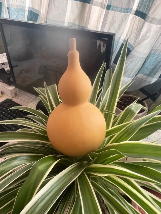 天然葫芦头可拆卸的装着就可以使用