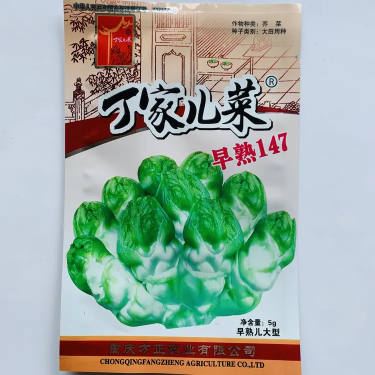 丁家儿菜早熟147杂交儿菜种子娃娃菜耐寒蔬菜基地高产优质