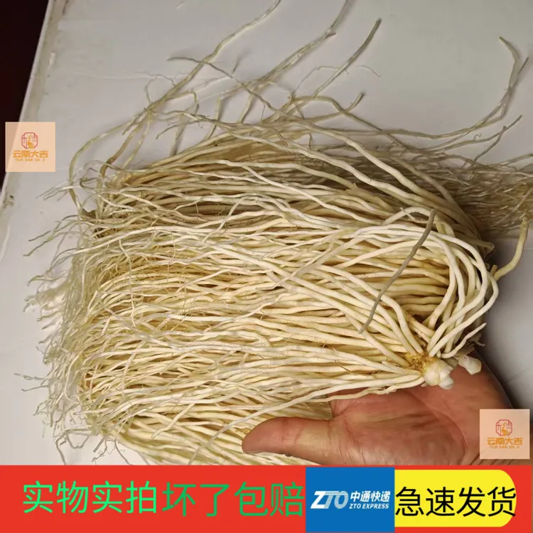 苤菜根撇菜根大韭菜根月子凉菜可腌制佤味苤菜根云南苤菜根