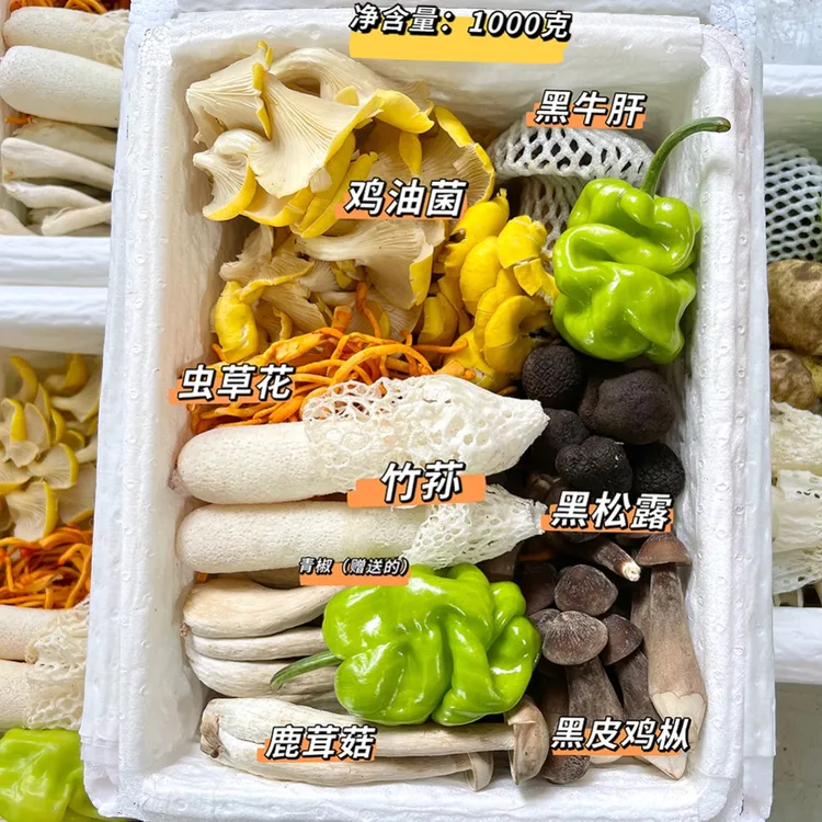 云南七彩鲜菌组合 顺丰空运 煲汤火锅炒菌菇食材·专属送老火腿1片