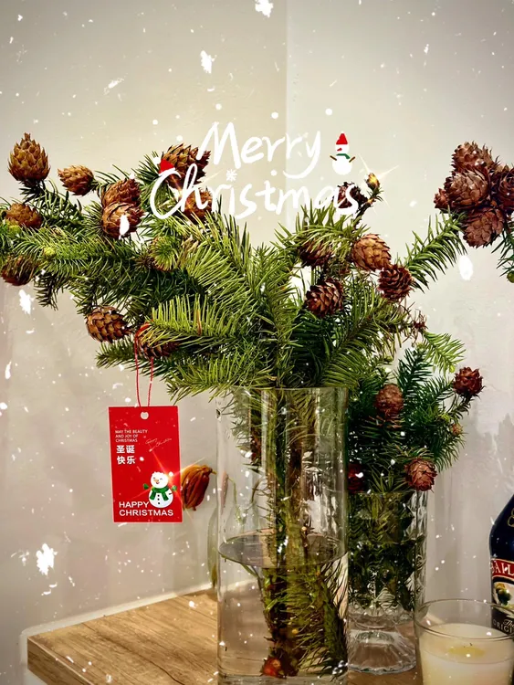 莲花松果 节日装饰绿植 观赏性花材 可做干花 松香