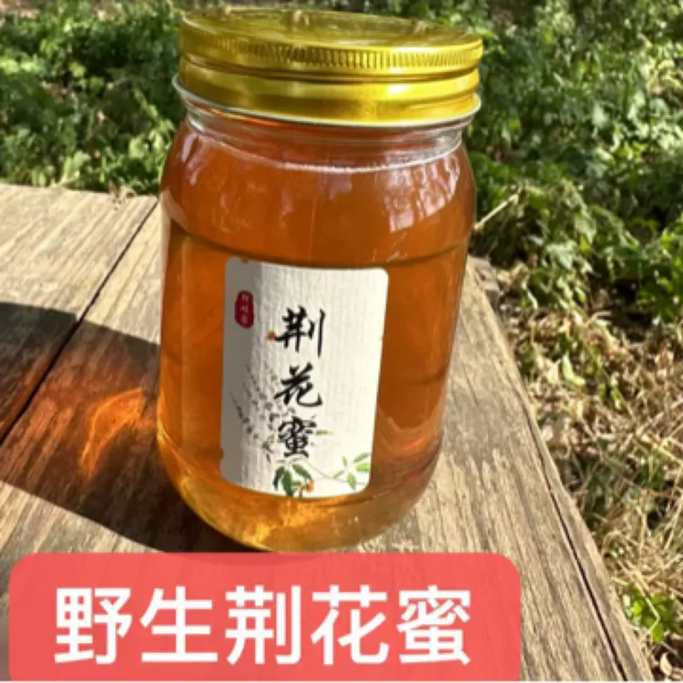 2025年荆条蜜 荆花蜜  阿硕家蜂蜜 玻璃瓶500克