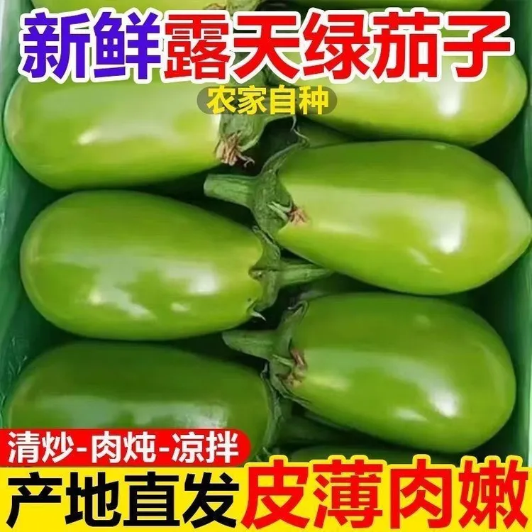 【农家自种】河南农家现摘新鲜青皮绿茄子当季蔬菜