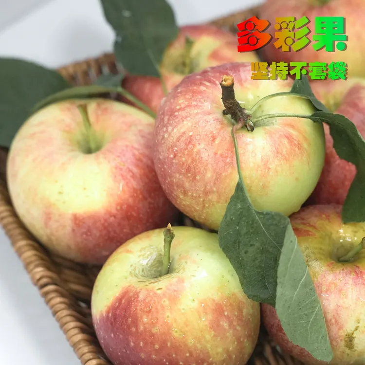 2025年新鲜上市现摘现发烟台红苹果皮薄脆甜多汁带皮吃的新鲜水果