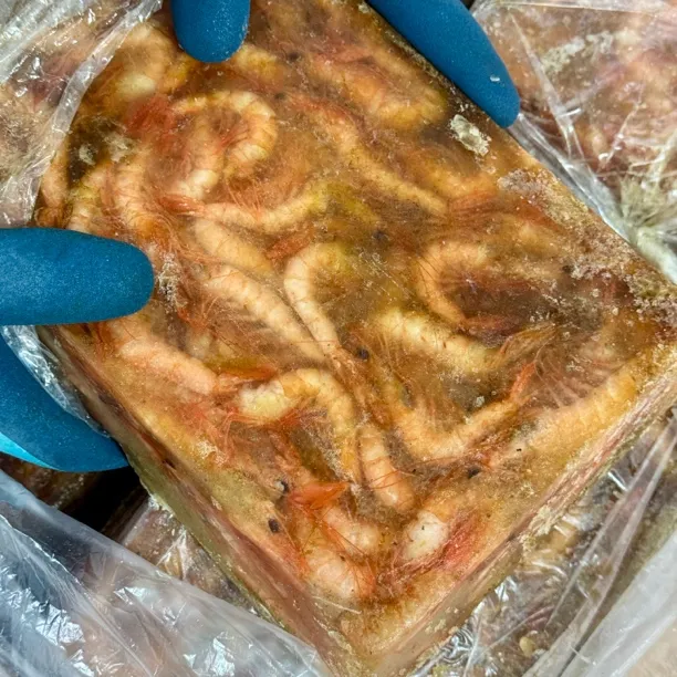 【水冻坨】野生海捕小红虾 扒虾仁小虾 净重约3斤