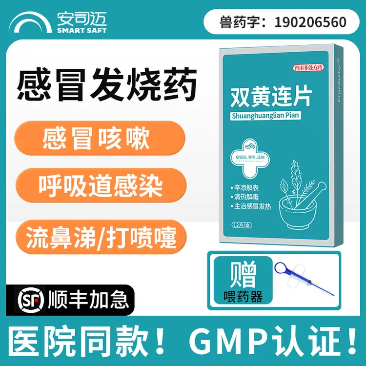 毛孩子宠物感冒鼻支宠物咳嗽腹泻流鼻涕窝咳嗽症状消炎鼻涕塞幼宠
