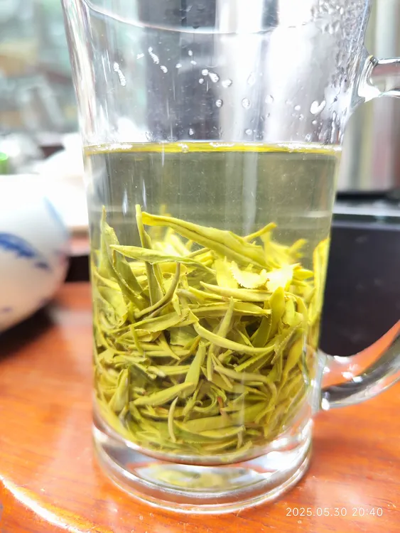 明前新茶高山云雾绿茶毛尖浓香耐泡办公室口粮茶