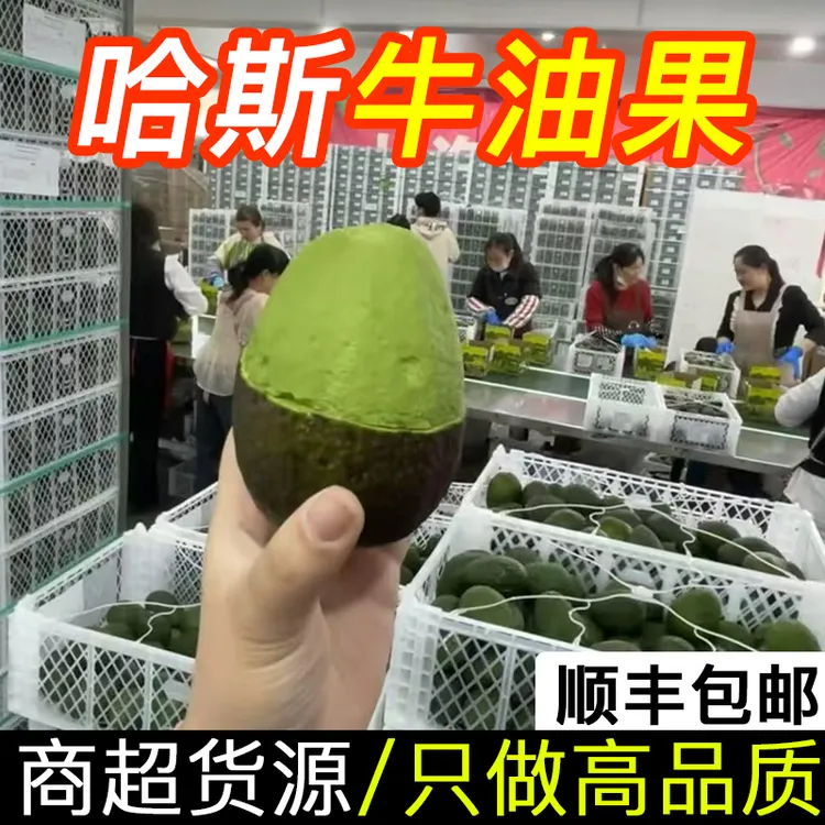 【顺丰】秘鲁哈斯进口牛油果hass哈斯宝宝辅食新鲜190g/颗以上