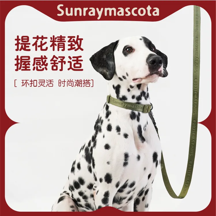 高品狗狗牵引绳项圈一体式中大型犬防爆冲不缠绕P绳赛级专业训犬