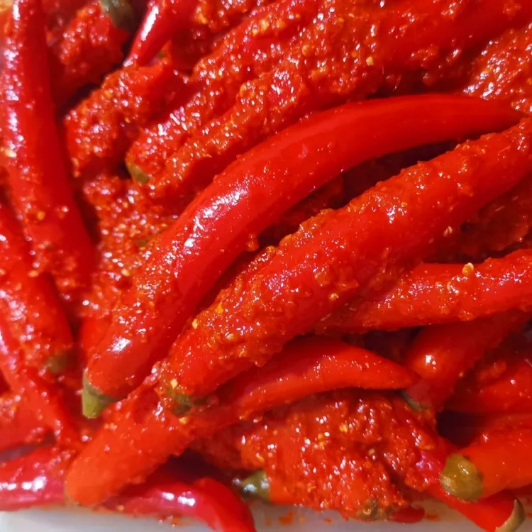 云南镇雄特产泡海椒爽口脆下饭菜开胃菜