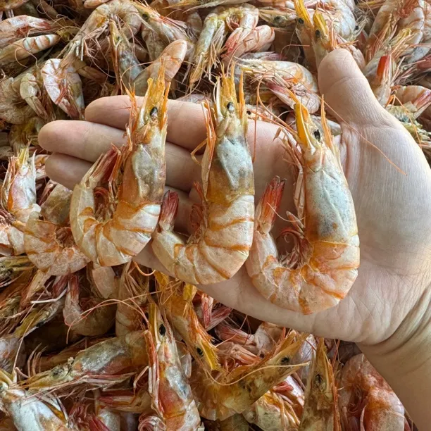 海卢虾干虾干零食吃马宫港有膏海卢虾干虾脯野生海虾晒干即食虾干
