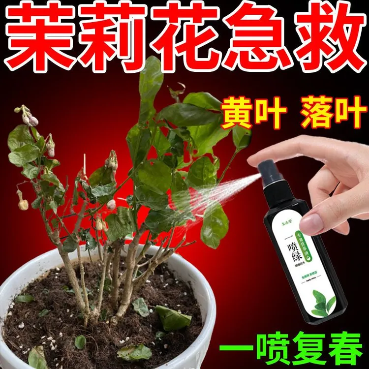 茉莉花营养液高效免稀释液体肥