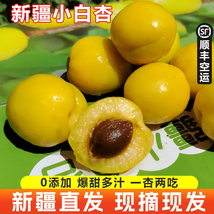 新疆特产库车轮台小白杏水果新鲜采摘香甜多汁产地直发【顺丰空运】