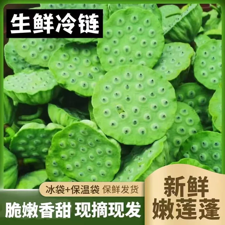 【水果莲蓬】新鲜莲蓬现摘莲子生吃现发甜嫩莲蓬莲子米脆甜应季水果